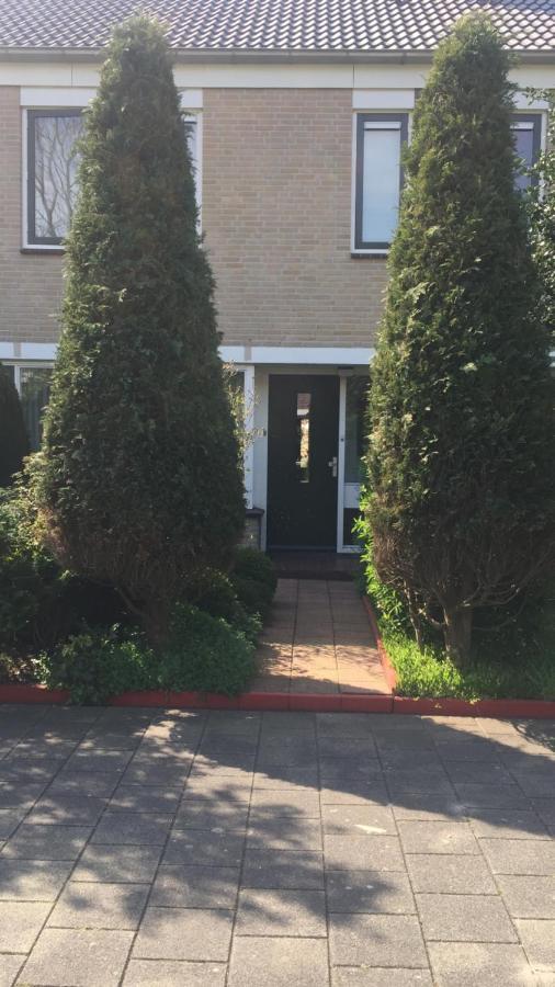 Cozy Room In Residential Alkmaar - Free Parking المظهر الخارجي الصورة