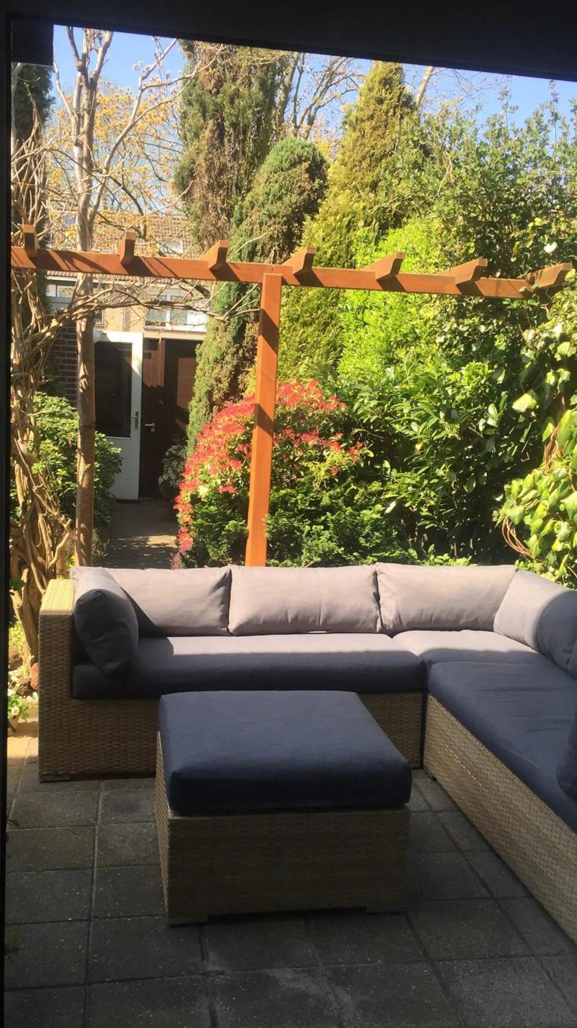 Cozy Room In Residential Alkmaar - Free Parking المظهر الخارجي الصورة